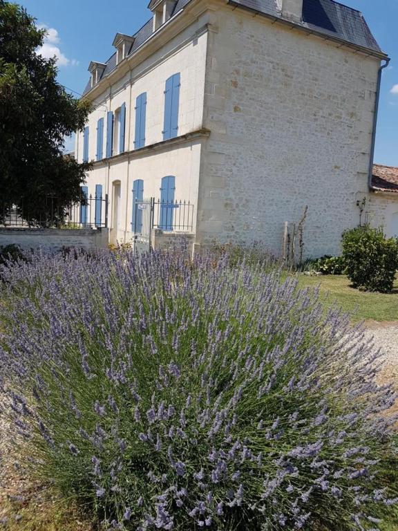 Bed and Breakfast le domaine de bellevue à Tanzac Extérieur photo